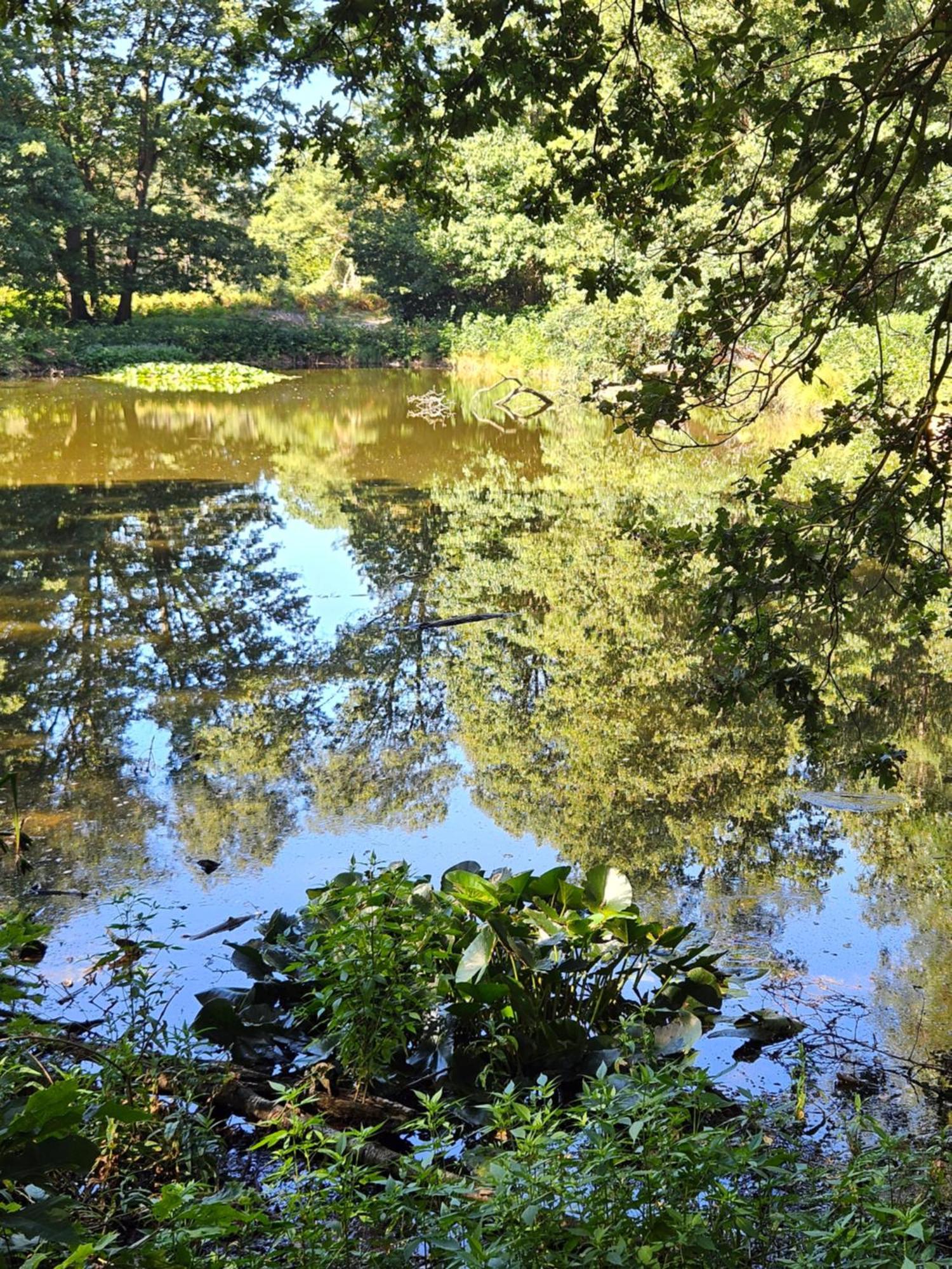 Apartmán Artz Of Nature Emmen Exteriér fotografie