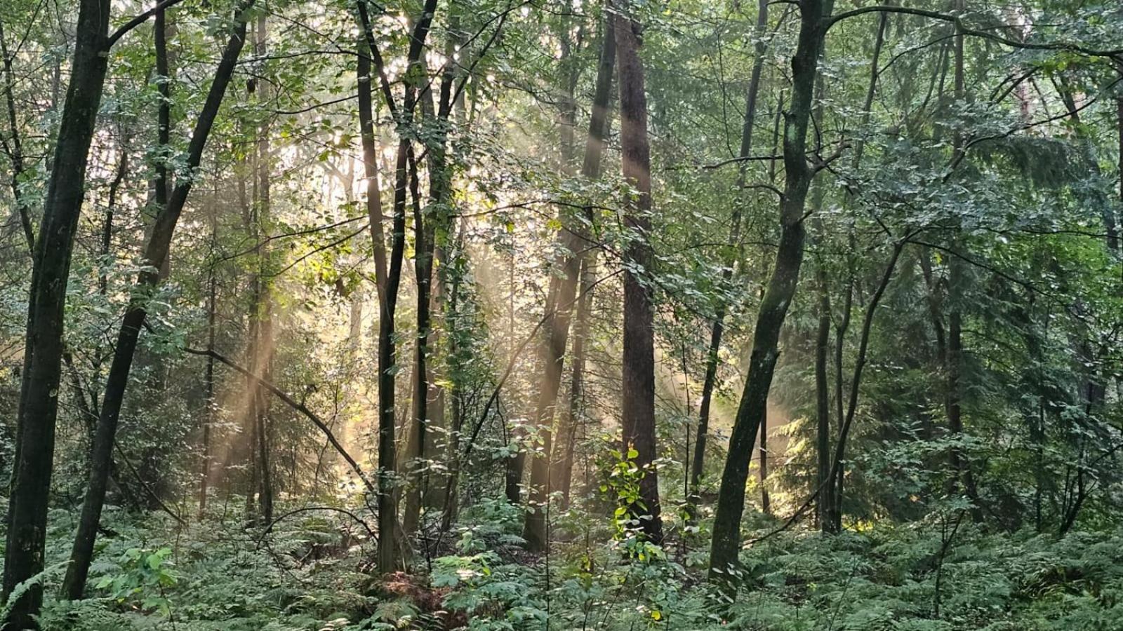 Apartmán Artz Of Nature Emmen Exteriér fotografie