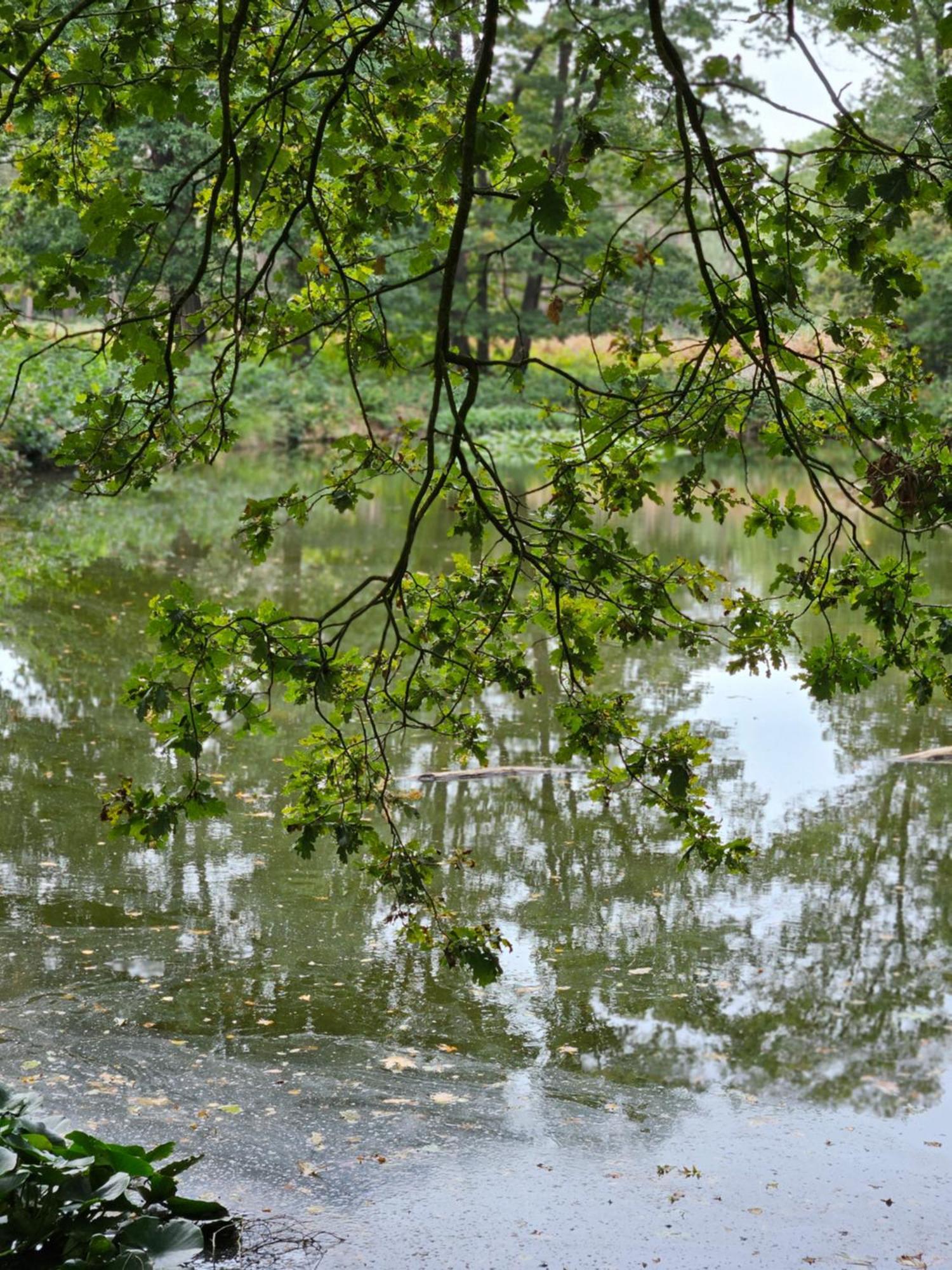 Apartmán Artz Of Nature Emmen Exteriér fotografie