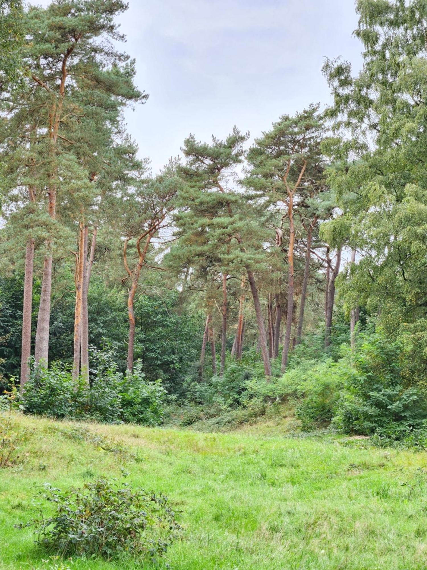 Apartmán Artz Of Nature Emmen Exteriér fotografie