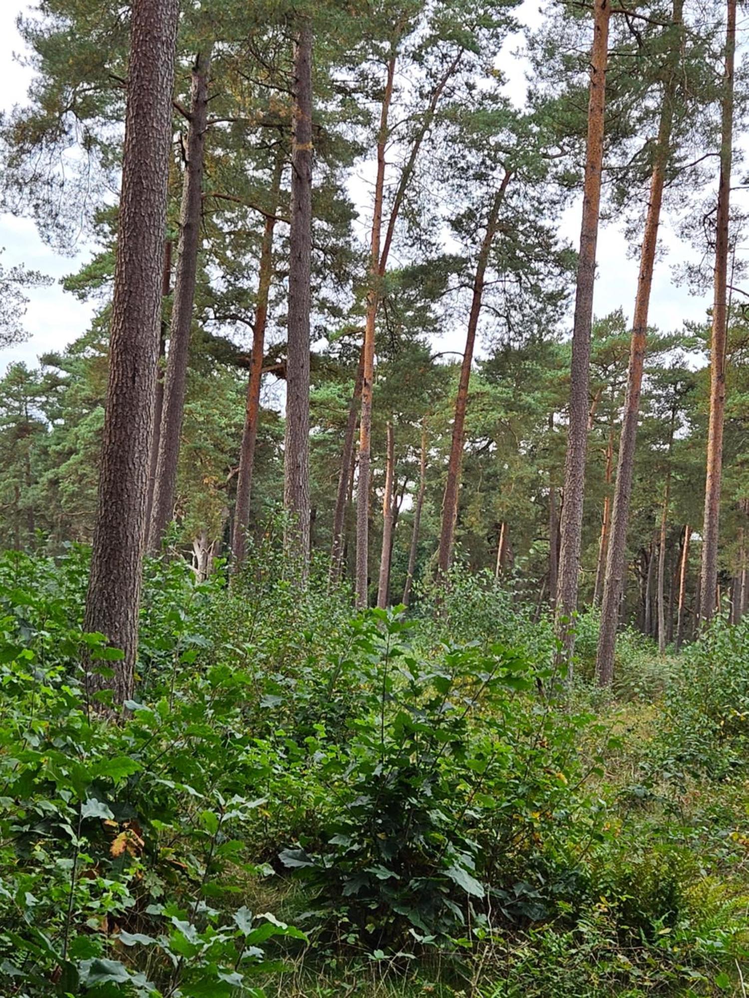 Apartmán Artz Of Nature Emmen Exteriér fotografie