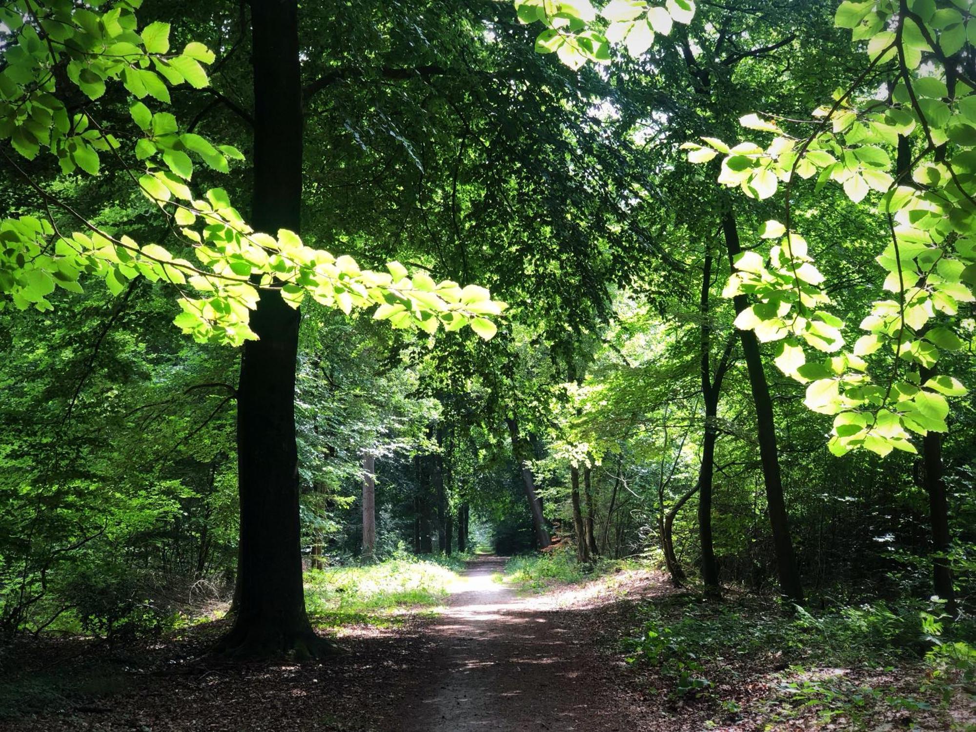 Apartmán Artz Of Nature Emmen Exteriér fotografie