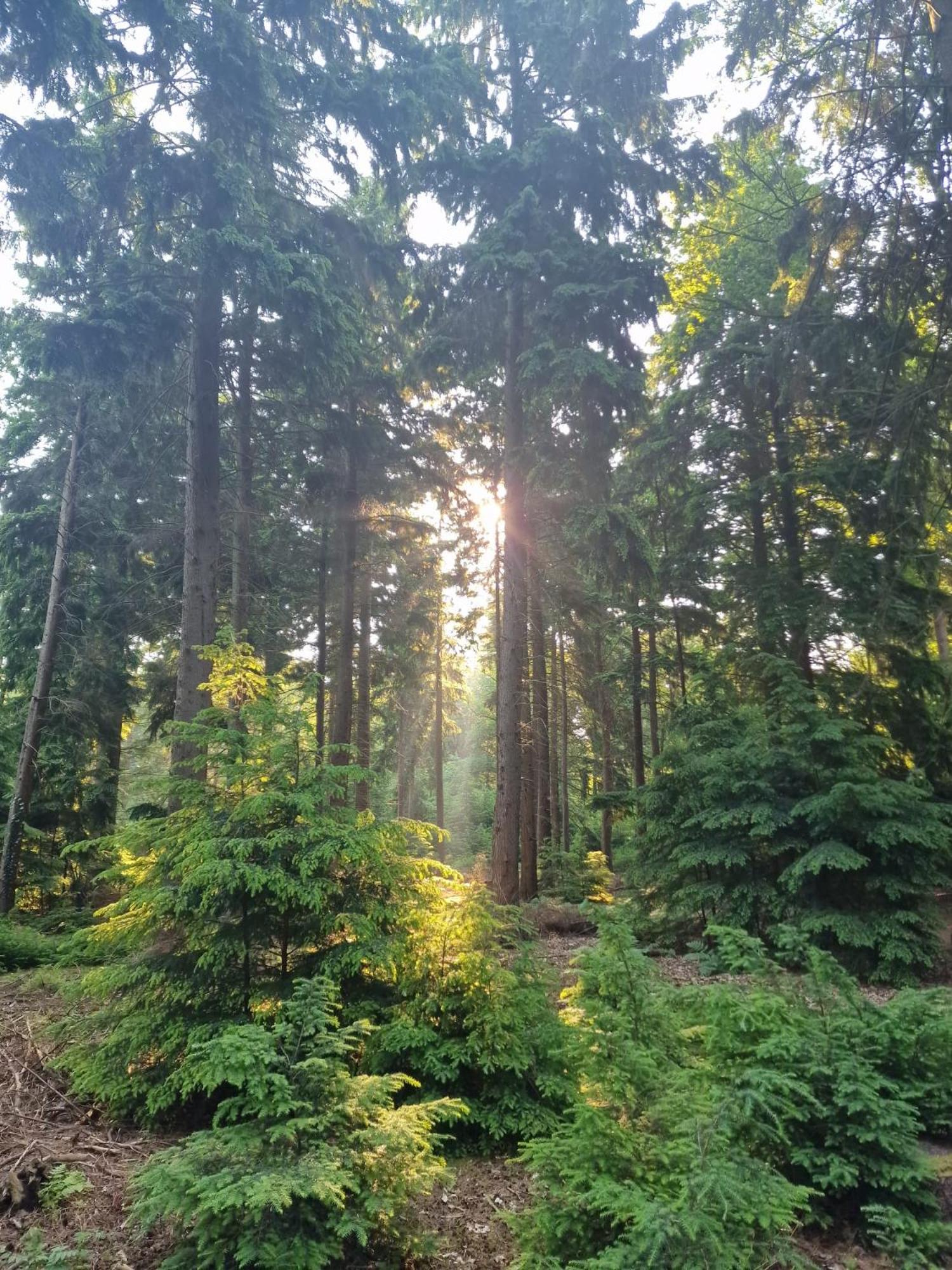 Apartmán Artz Of Nature Emmen Exteriér fotografie